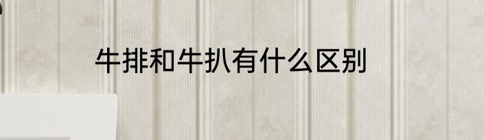 牛排和牛扒有什么区别