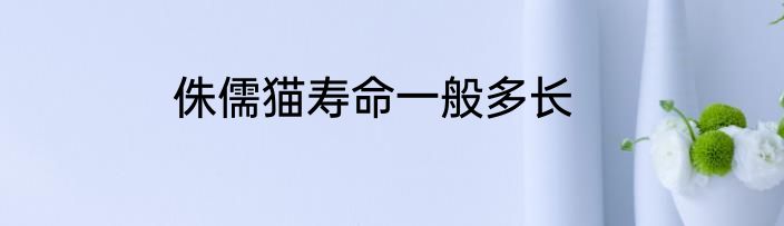 侏儒猫寿命一般多长