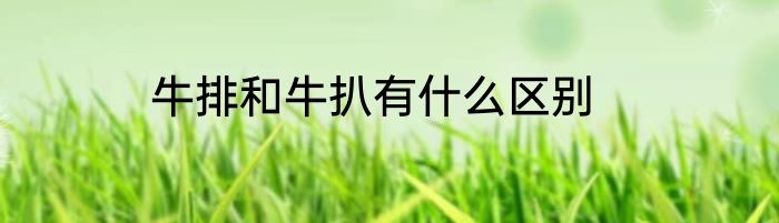 牛排和牛扒有什么区别