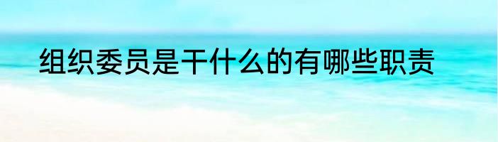 组织委员是干什么的有哪些职责