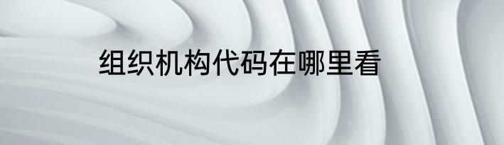 组织机构代码在哪里看