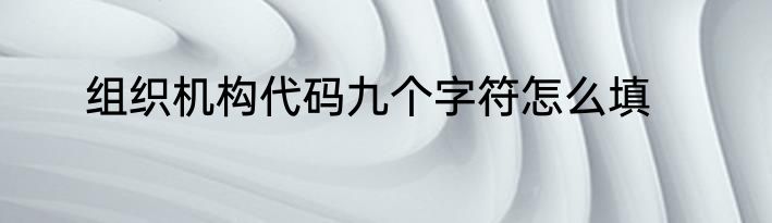 组织机构代码九个字符怎么填