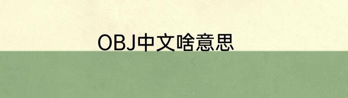 OBJ中文啥意思