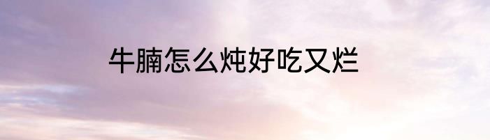 牛腩怎么炖好吃又烂