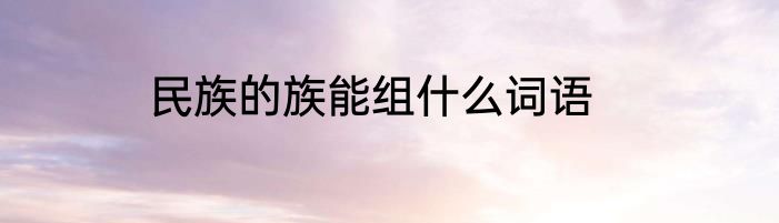 民族的族能组什么词语