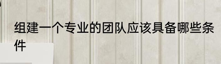 组建一个专业的团队应该具备哪些条件