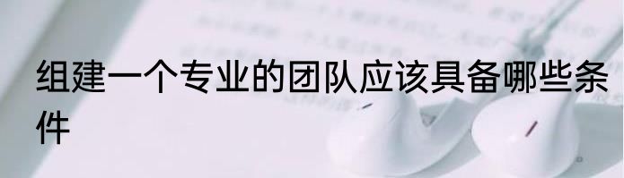 组建一个专业的团队应该具备哪些条件