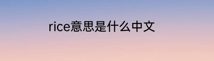 rice意思是什么中文