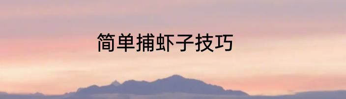 简单捕虾子技巧