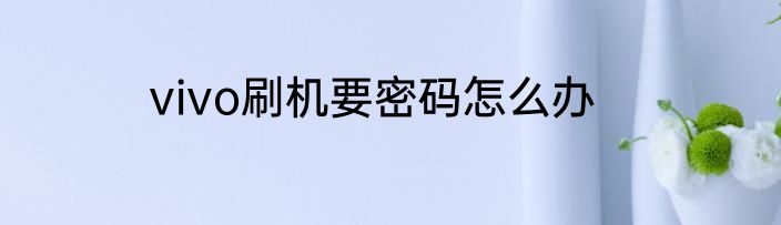 vivo刷机要密码怎么办