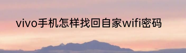 vivo手机怎样找回自家wifi密码