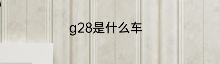 g28是什么车