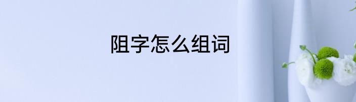 阻字怎么组词