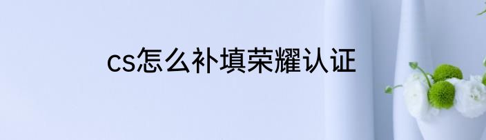 cs怎么补填荣耀认证