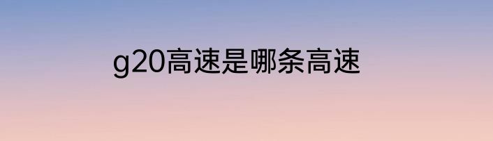 g20高速是哪条高速