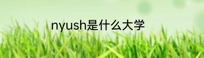 nyush是什么大学