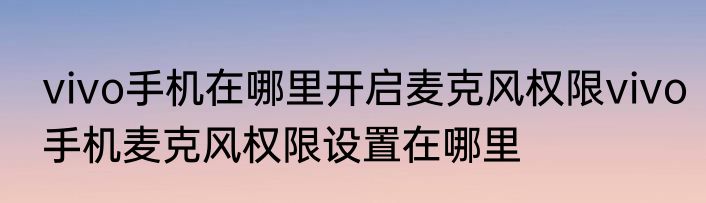 vivo手机在哪里开启麦克风权限vivo手机麦克风权限设置在哪里