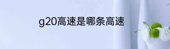 g20高速是哪条高速