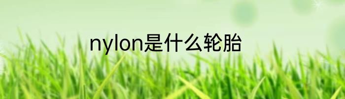 nylon是什么轮胎
