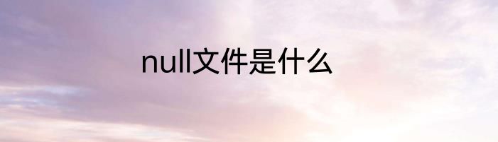 null文件是什么