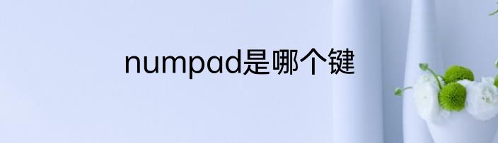 numpad是哪个键