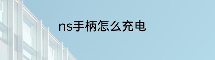 ns手柄怎么充电