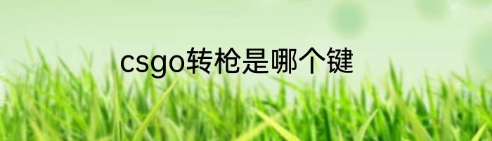 csgo转枪是哪个键