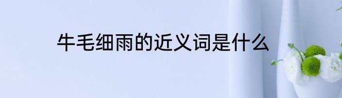 牛毛细雨的近义词是什么