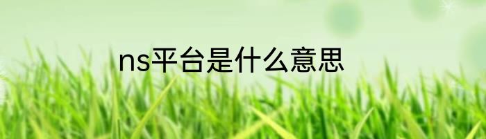 ns平台是什么意思