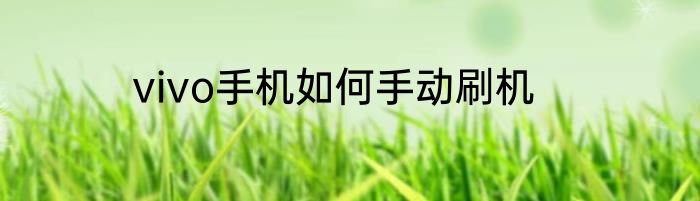 vivo手机如何手动刷机