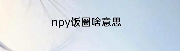 npy饭圈啥意思