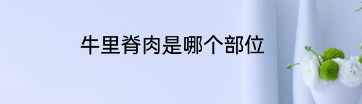牛里脊肉是哪个部位