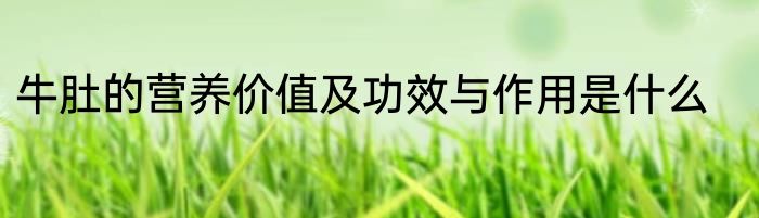 牛肚的营养价值及功效与作用是什么