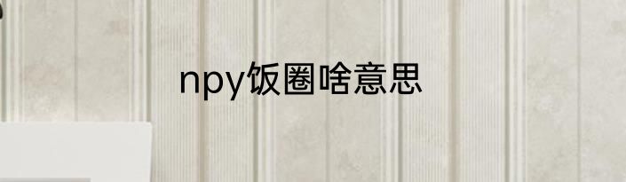 npy饭圈啥意思