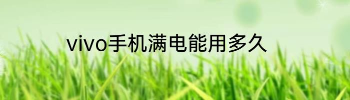 vivo手机满电能用多久