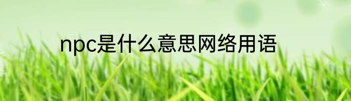 npc是什么意思网络用语