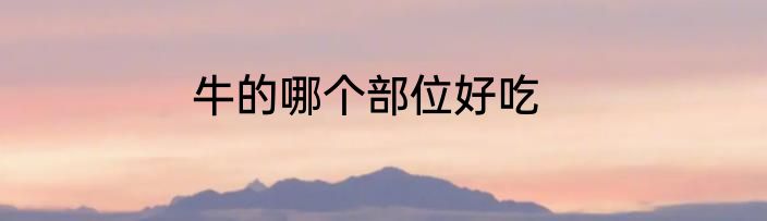 牛的哪个部位好吃