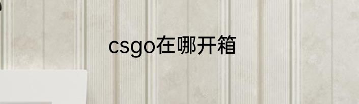 csgo在哪开箱