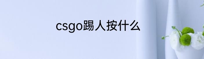 csgo踢人按什么