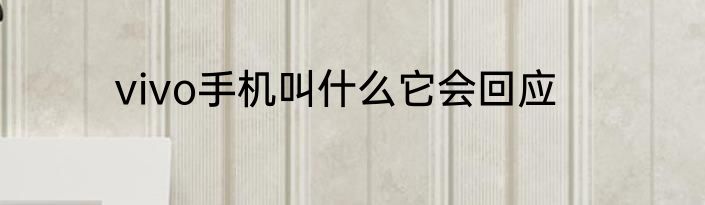 vivo手机叫什么它会回应