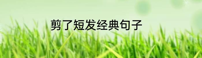 剪了短发经典句子