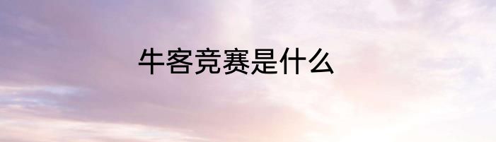 牛客竞赛是什么