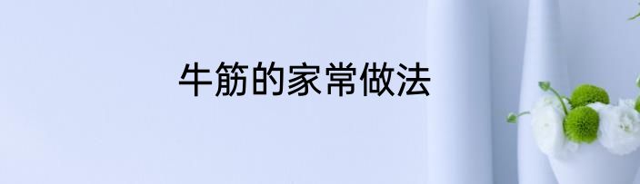 牛筋的家常做法
