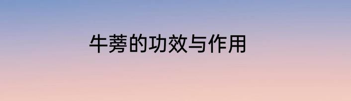 牛蒡的功效与作用
