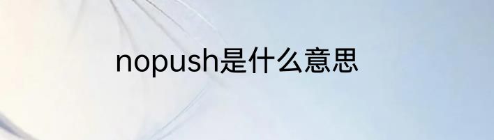 nopush是什么意思