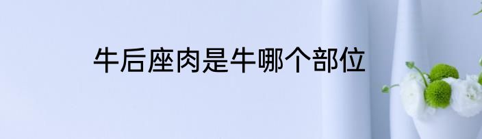 牛后座肉是牛哪个部位