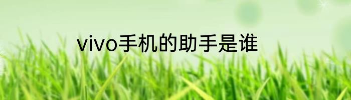 vivo手机的助手是谁