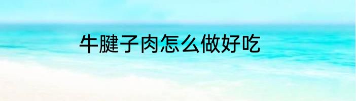 牛腱子肉怎么做好吃