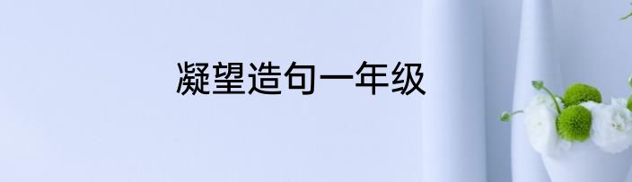 凝望造句一年级