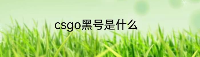 csgo黑号是什么
